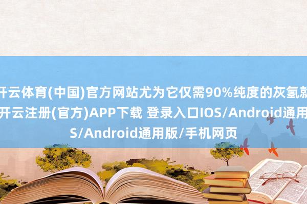 开云体育(中国)官方网站尤为它仅需90%纯度的灰氢就能高效拆除-开云注册(官方)APP下载 登录入口IOS/Android通用版/手机网页