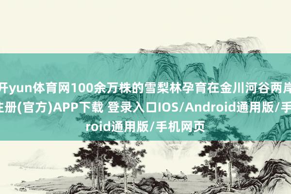开yun体育网100余万株的雪梨林孕育在金川河谷两岸-开云注册(官方)APP下载 登录入口IOS/Android通用版/手机网页