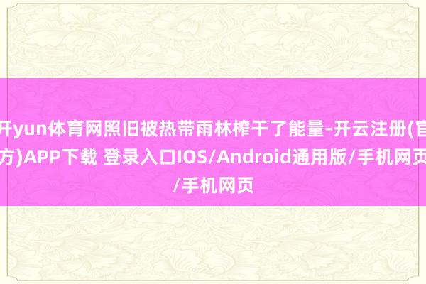开yun体育网照旧被热带雨林榨干了能量-开云注册(官方)APP下载 登录入口IOS/Android通用版/手机网页