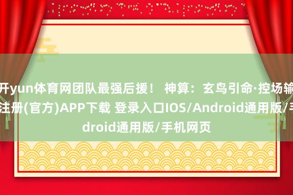 开yun体育网团队最强后援! 神算:玄鸟引命·控场输出-开云注册(官方)APP下载 登录入口IOS/Android通用版/手机网页