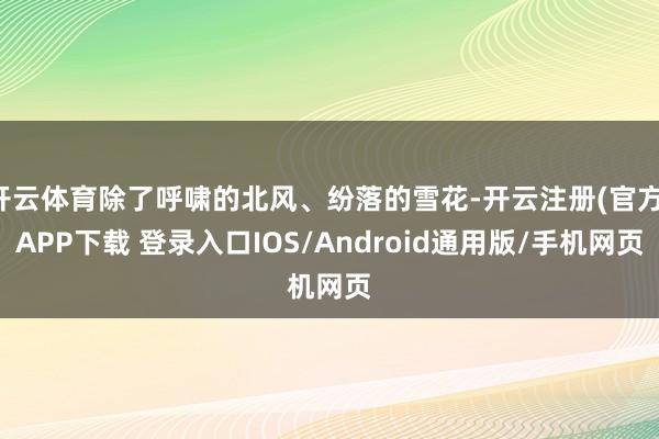 开云体育除了呼啸的北风、纷落的雪花-开云注册(官方)APP下载 登录入口IOS/Android通用版/手机网页